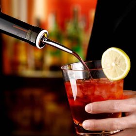 1PCS Multifunction Stainless Steel Wine Pourer