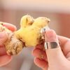1pc Garlic Chestnut Ginger Peeler Fruit and Vegetable Peeling Knife for Kitchen Gadgets