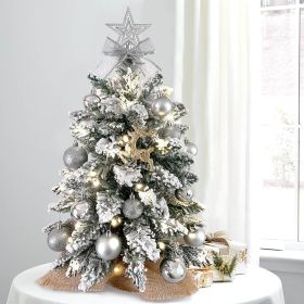 Exquisite Christmas Tree with LED Lights, 20 Inches TableTop Mini Small Xmas Trees for Office, Home, Restaurant, Flocked Artificial Arbol de Navidad w (Color: Silver)