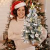 Exquisite Christmas Tree with LED Lights, 20 Inches TableTop Mini Small Xmas Trees for Office, Home, Restaurant, Flocked Artificial Arbol de Navidad w